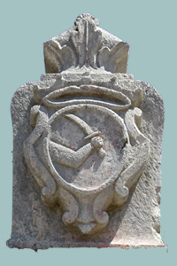Home Page Image