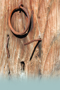 Home Page Image