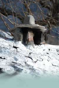 Home Page Image